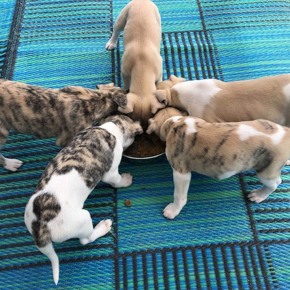 Meet your Posher, Rebecca - Picture 1 of 1